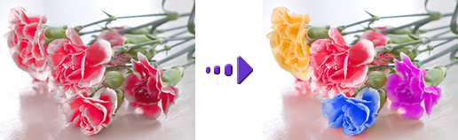 loom�̎ʐ^���H��S�@�F�̒u�����̎ʐ^���H��������