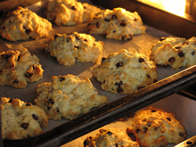 �N�b�L�[���I�[�u���ŏĂ��Ă�������������Ȏʐ^